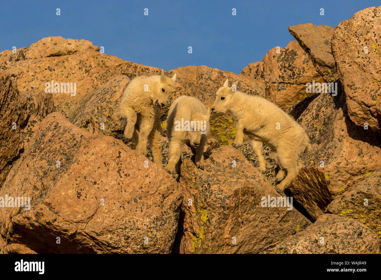 Kids on rocks hi-res stock photography and images - Alamy