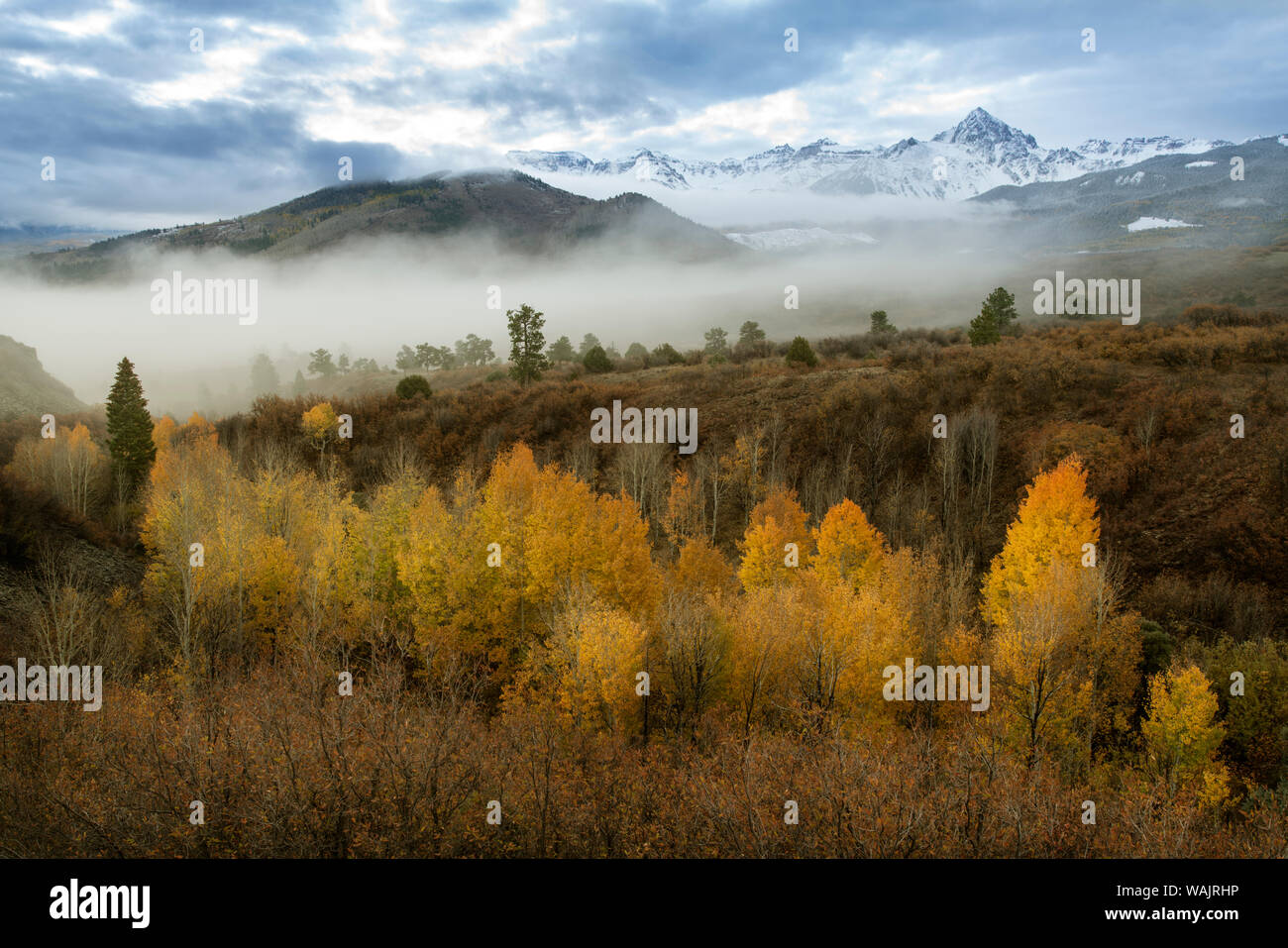 USA, Colorado, San Juan Mountains. Morning fog on mountain and forest landscape. Credit as: Don Grall / Jaynes Gallery / DanitaDelimont.com Stock Photo