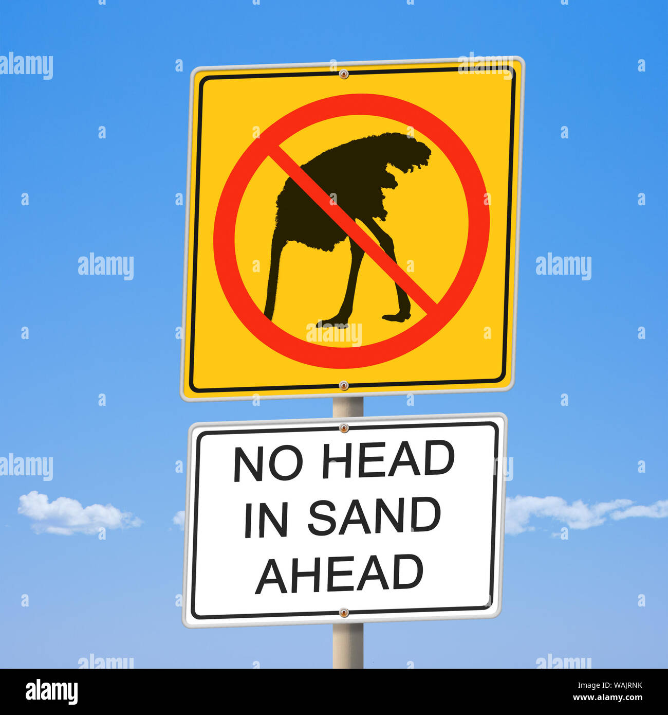 No head in sand ahead ostrich road sign on blue sky Stock Photo