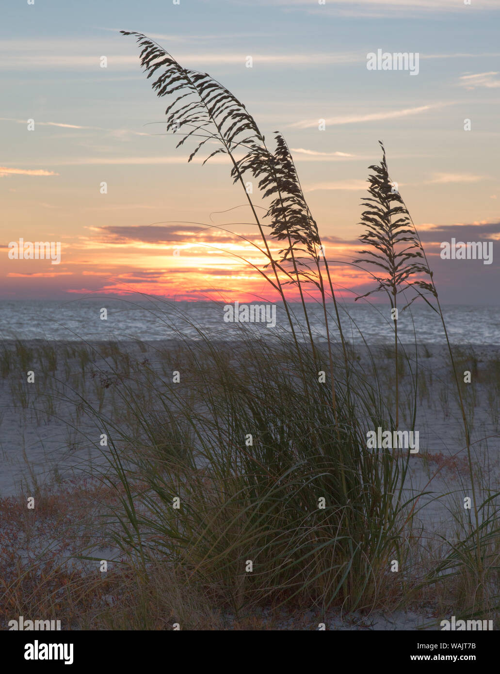 USA, Fort De Soto Park, Pinellas County, St. Petersburg, Florida. Seacoast against the sunset Stock Photo