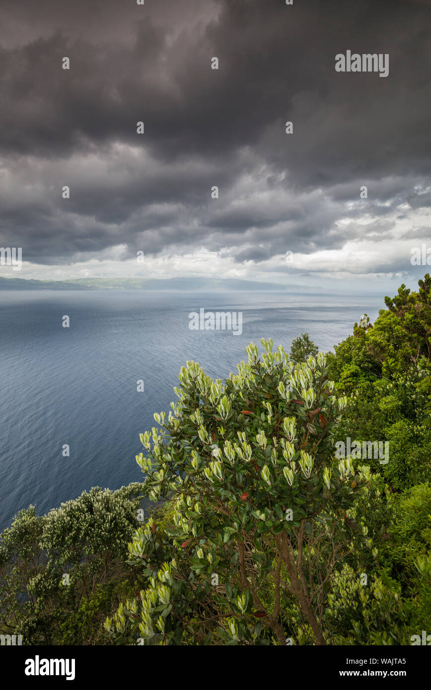 Portugal, Azores, Pico Island, Terra Alta. Miradouro da Terra Alta