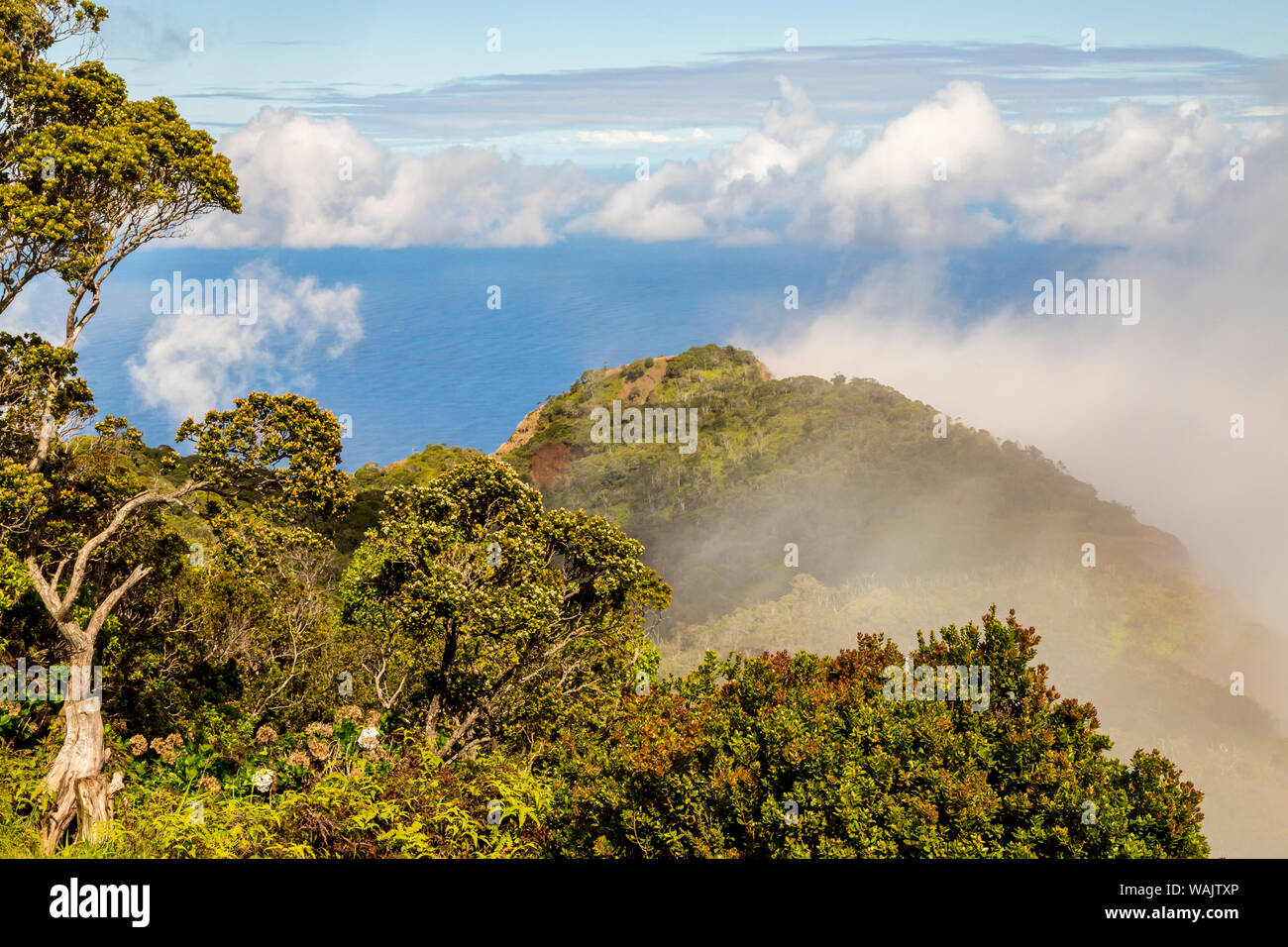 Kokee state park hawaii hires stock photography and images Alamy