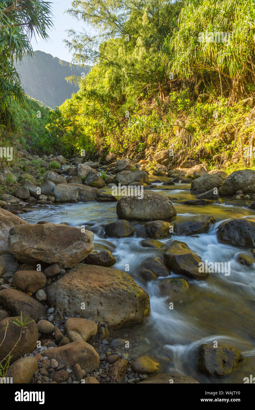 USA, Hawaii, Kauai. Coast stream cascade. Credit as: Cathy & Gordon Illg / Jaynes Gallery / DanitaDelimont.com Stock Photo