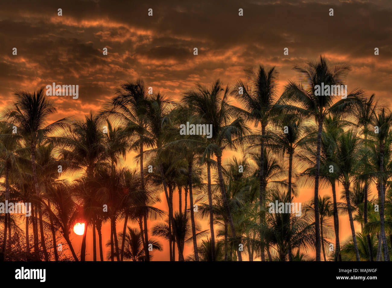 Anaeho'omalu Bay, Kohala Coast, Big Island, Hawaii, USA Stock Photo