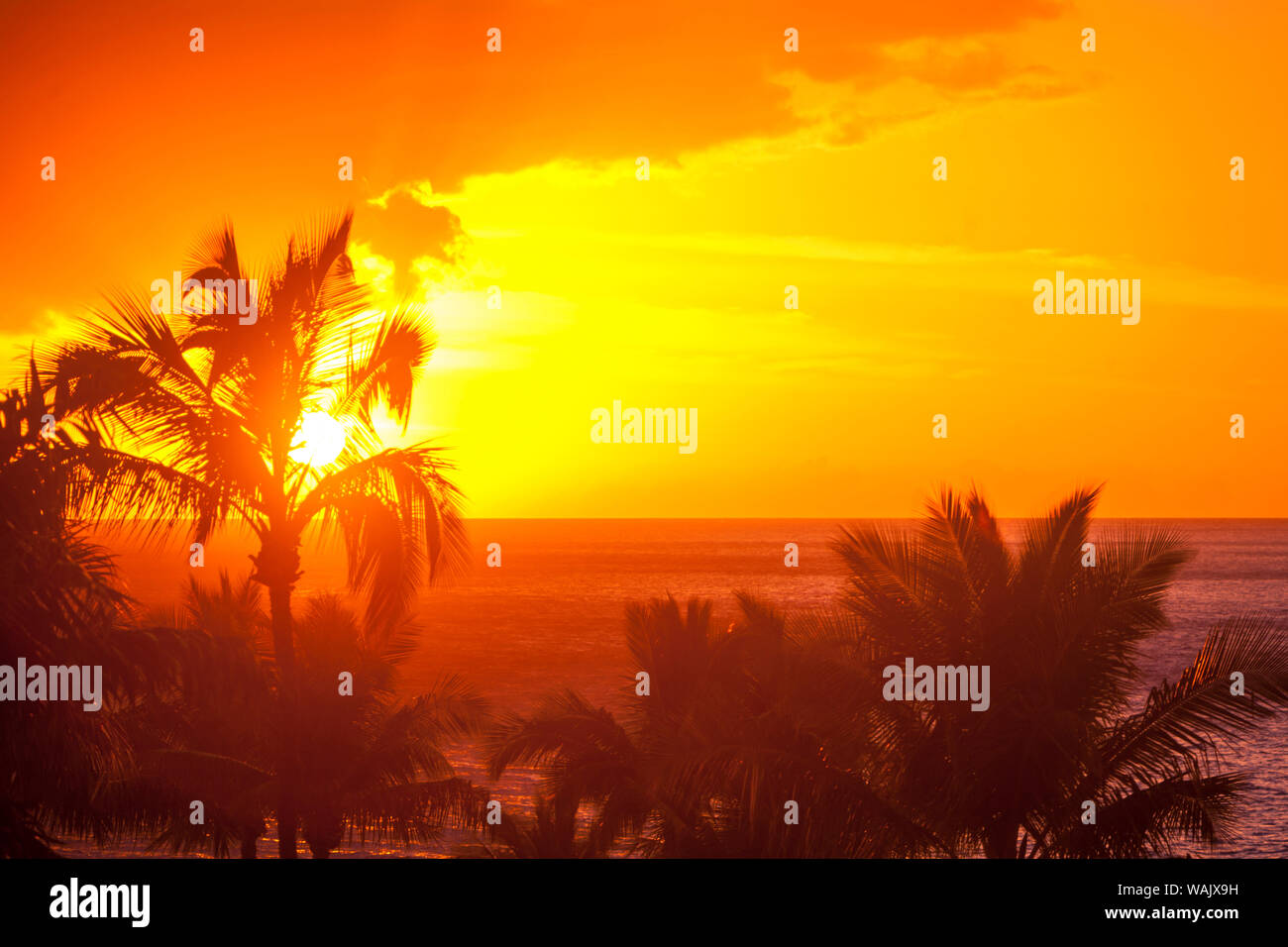 Sunset and palm trees, Wailea, Maui, Hawaii Stock Photo Alamy