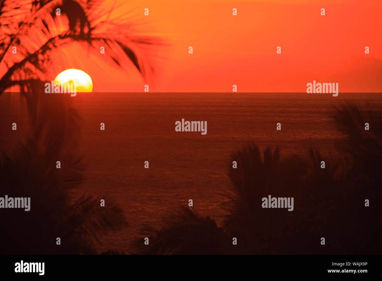 Hawaii sunset palm trees red hi-res stock photography and images - Alamy