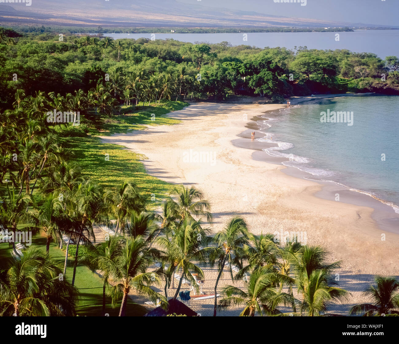 One of the top beaches in the world. Kaunaoa Bay, Big Island, Hawaii Stock Photo