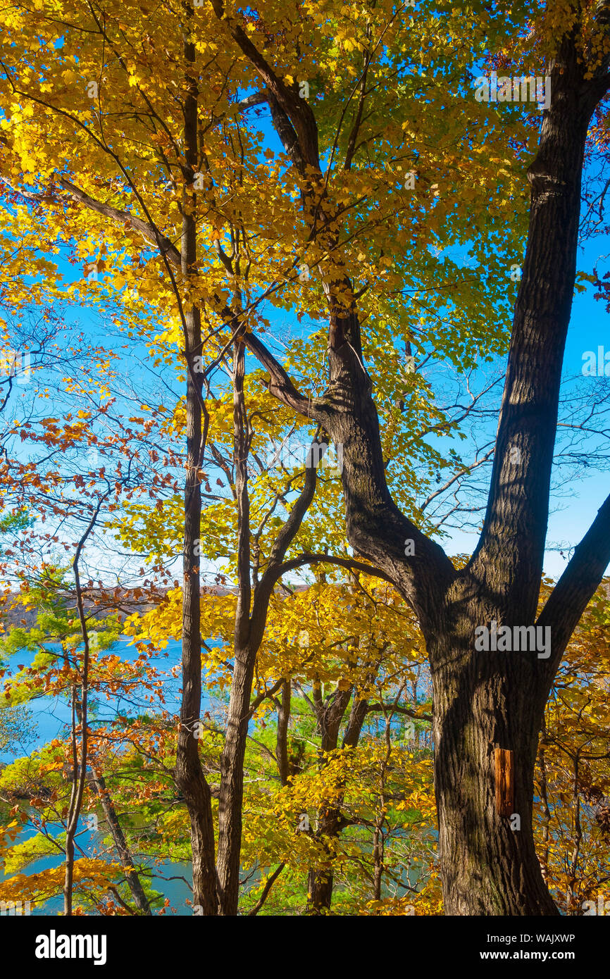 Lake view through colorful Autumn foliage Stock Photo - Alamy