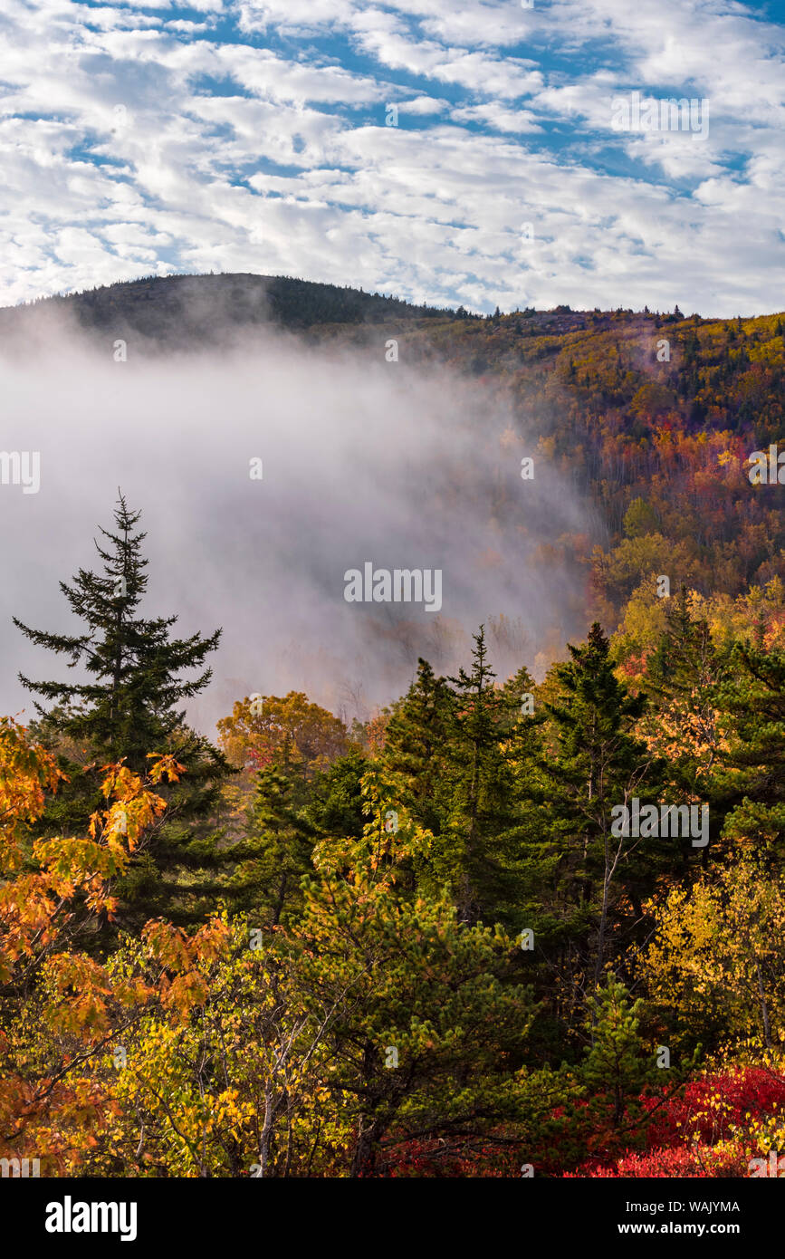 USA, Maine. Encroaching fog on Cadillac Mountain, Acadia National Park. Stock Photo