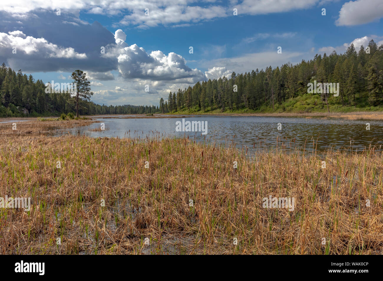 Polson montana hires stock photography and images Alamy
