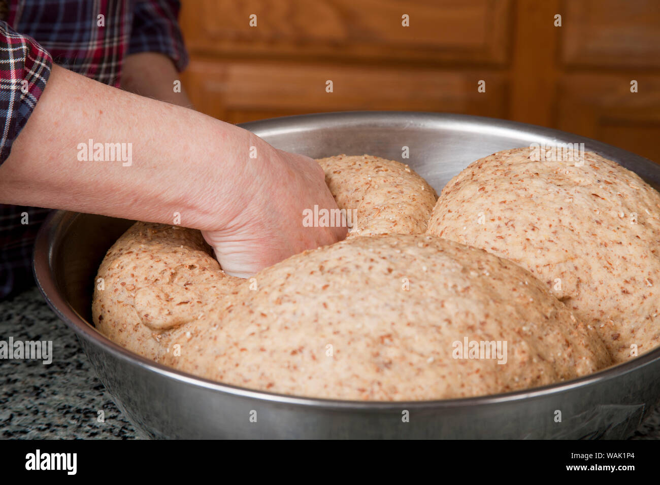Woman punching down multigrain bread dough. (MR) Stock Photo