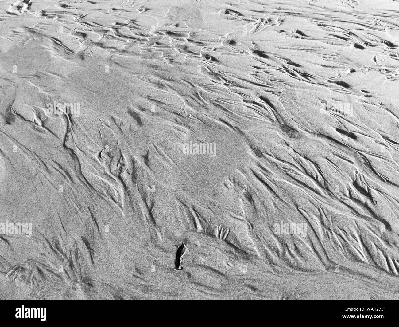 USA, Oregon, Manzanita. Black and white of beach sand patterns. Credit as: Wendy Kaveney / Jaynes Gallery / DanitaDelimont.com Stock Photo