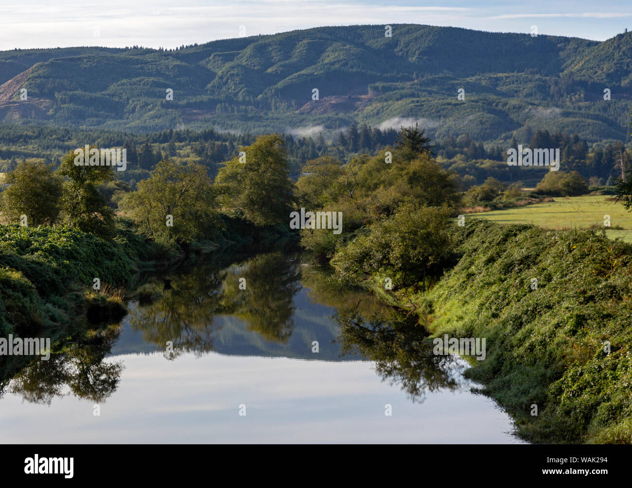 USA, Oregon, Nehalem. Morning landscape with mountain and river. Credit as: Wendy Kaveney / Jaynes Gallery / DanitaDelimont.com Stock Photo