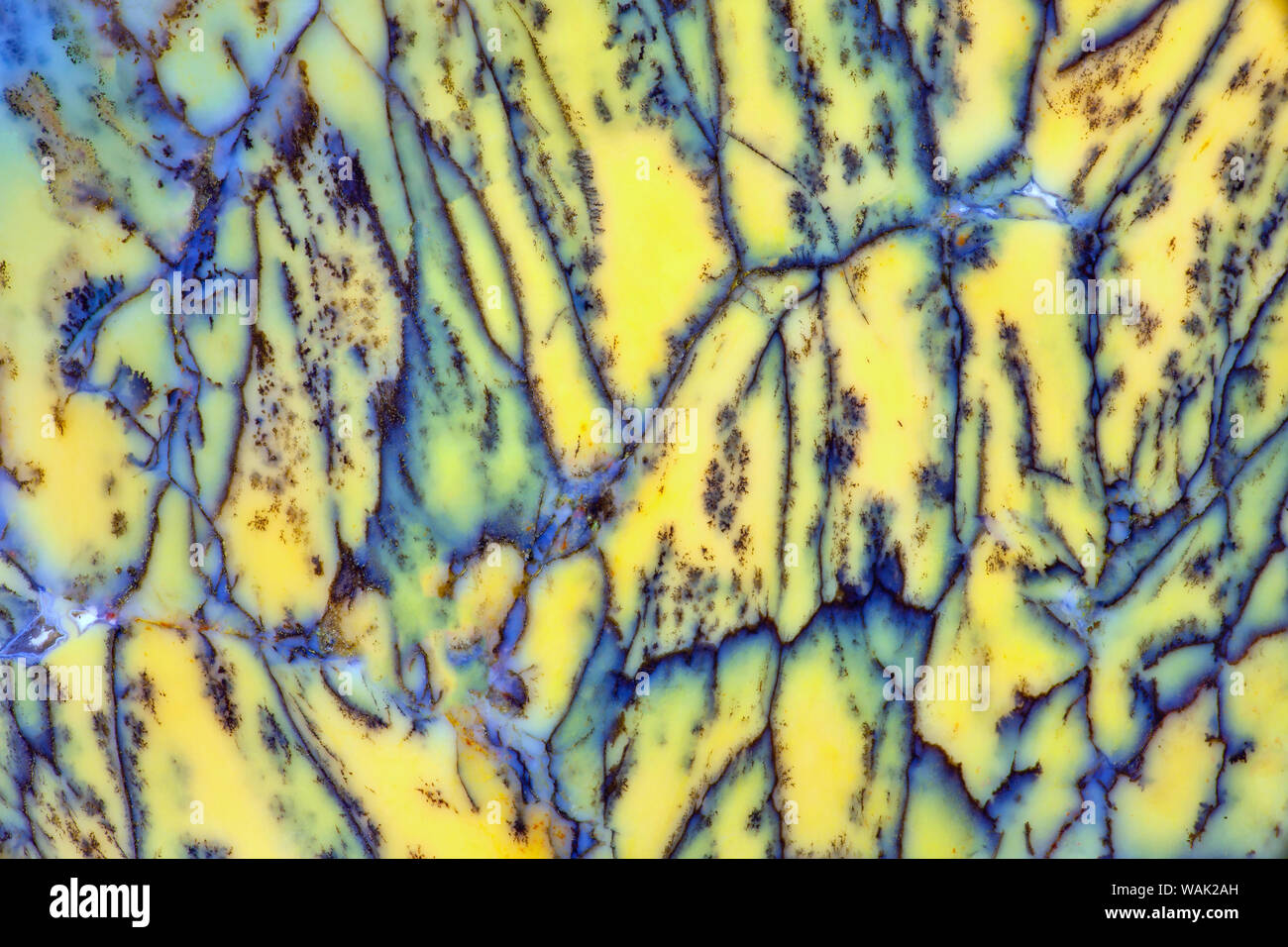 Jean cut hi-res stock photography and images - Alamy