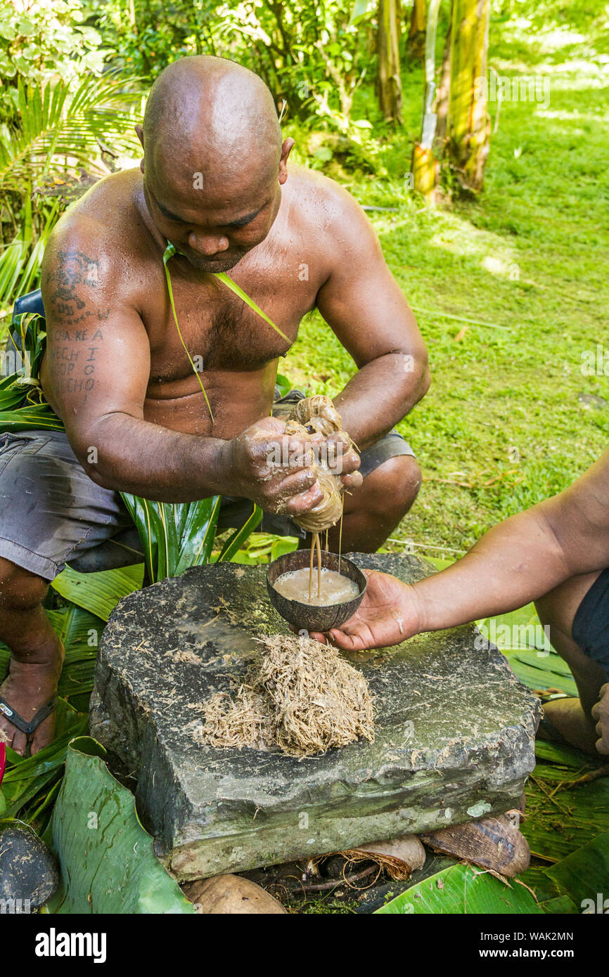 Kosrae, Micronesia (FSM). Man squeezing bamboo strips with kava root inside to make kava drink (also called sakau). (MR) Stock Photo