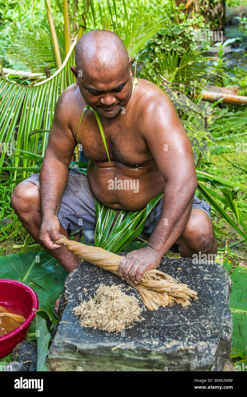 Kosrae, Micronesia (FSM). Man shapes pounded kava root and rolls it into bamboo strips to make kava drink (also called sakau). (MR) Stock Photo