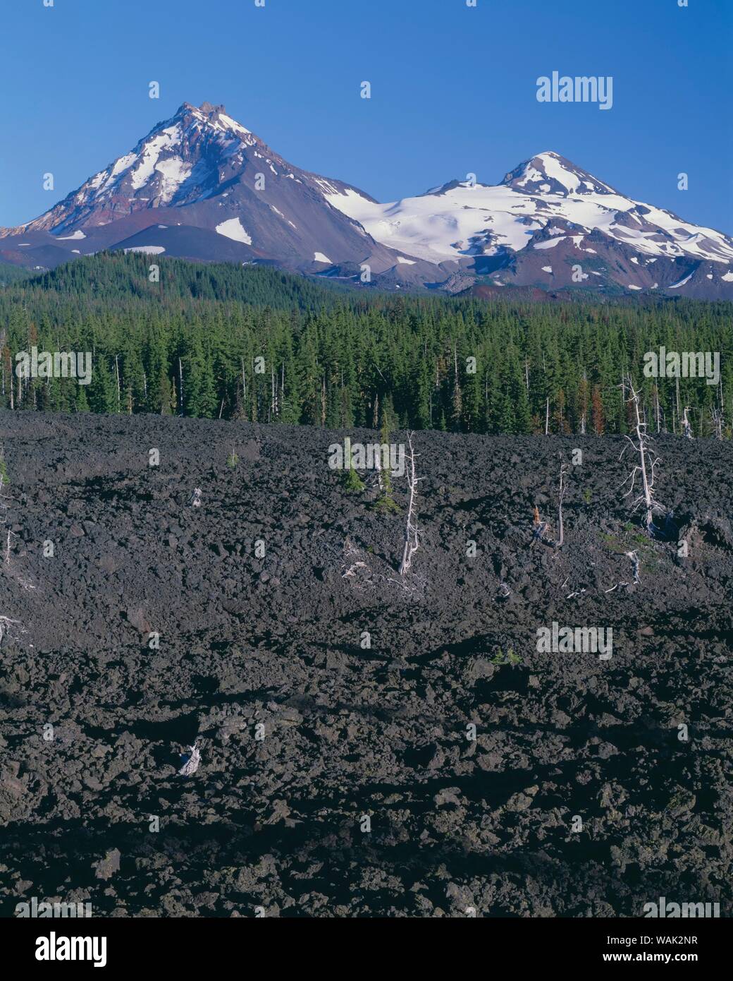 USA, Oregon, Three Sisters Wilderness. North (left) and Middle Sister (right) rise beyond conifers and lava flow near McKenzie Pass Stock Photo