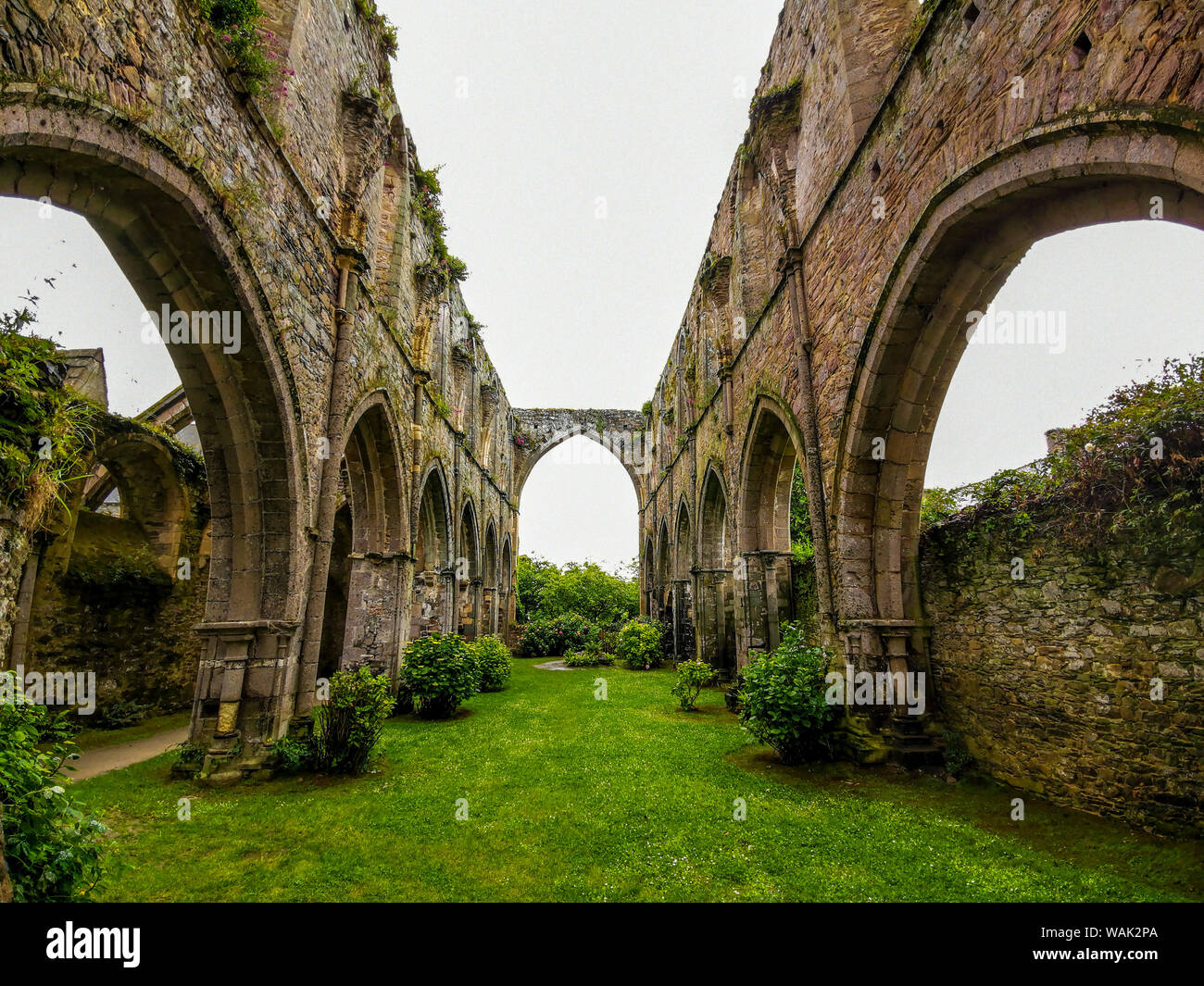 Paimpol, the Abbey of Beauport, Cotes-d'Armor department, Bretagne, France Stock Photo
