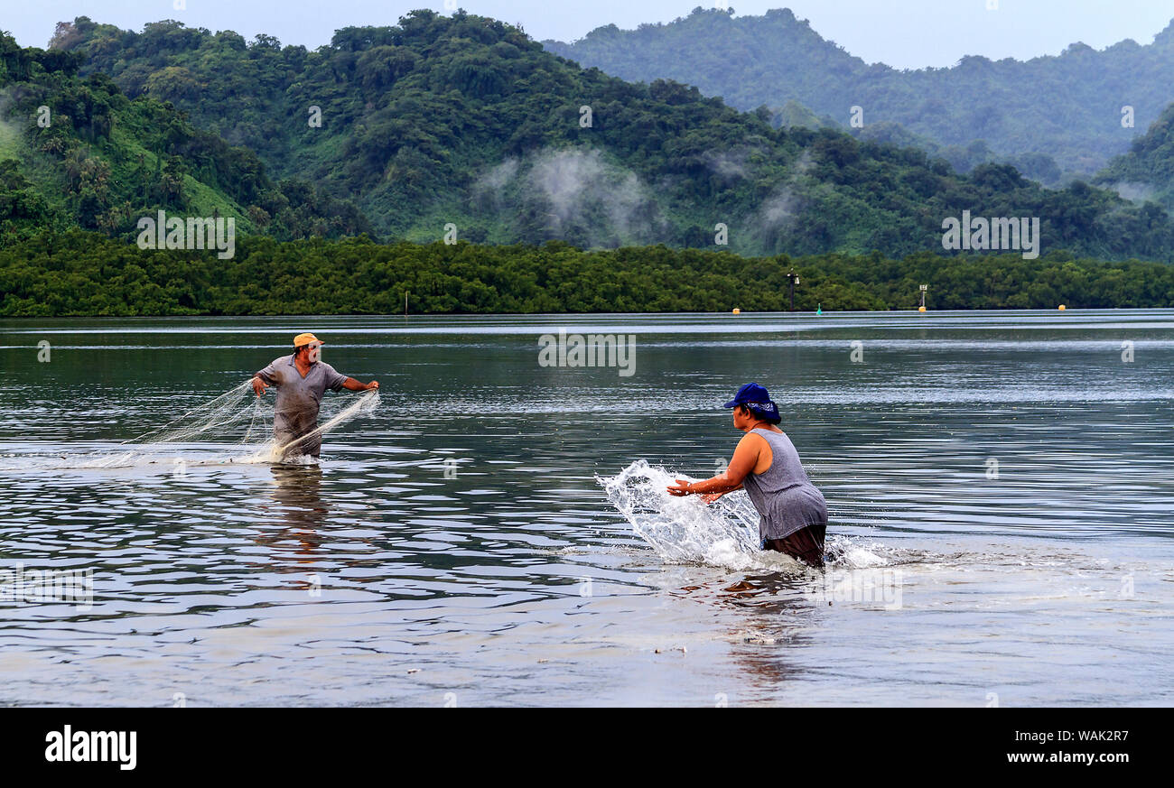 Kosrae, Micronesia (FSM). Fishing by net in shallow waters off the beach in Kosrae, Micronesia. A long net made of filament threads is spread by two people. A third person smacks the water to drive fish into the net. (MR) Stock Photo