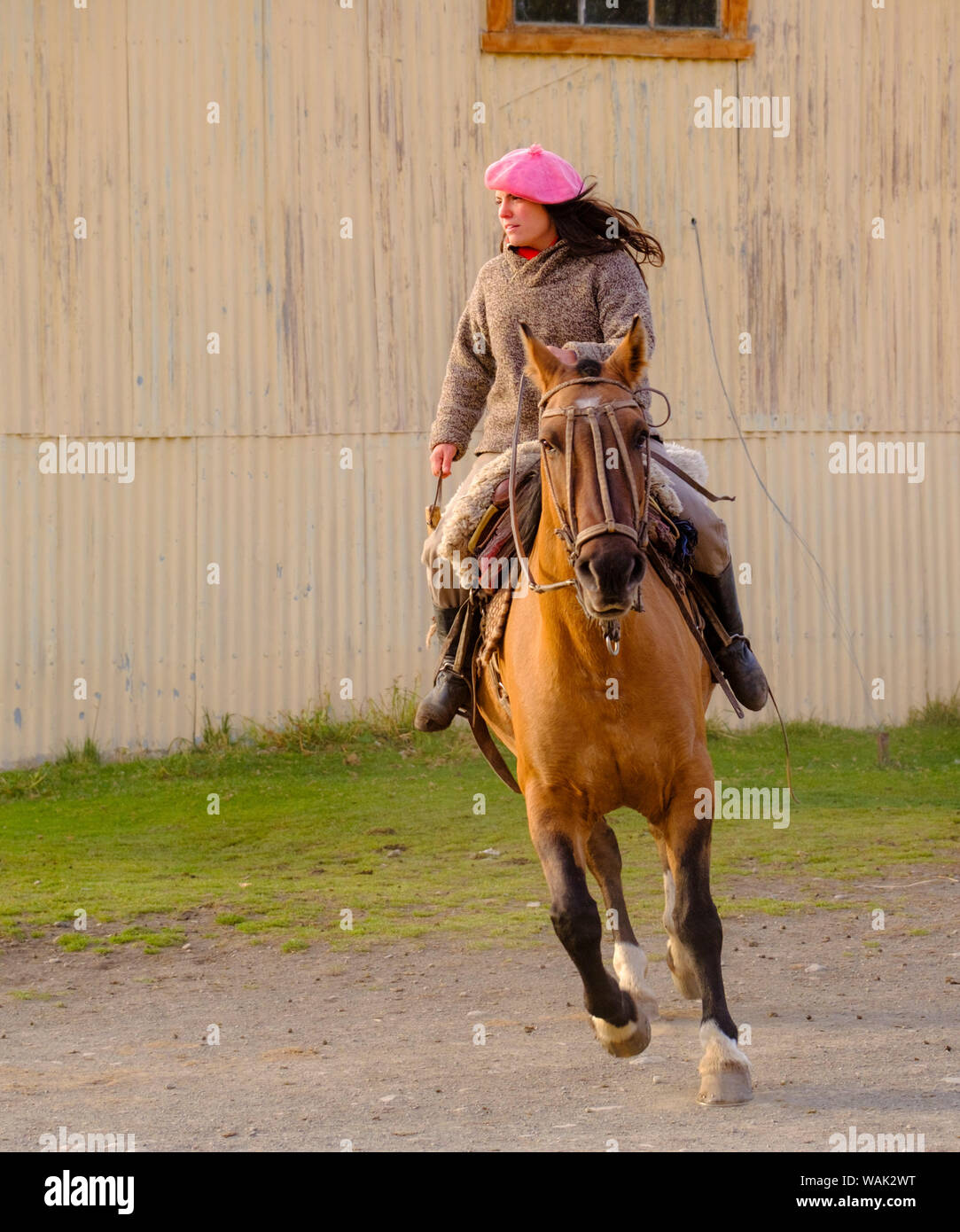 Woman on horse argentina hi-res stock photography and images - Alamy