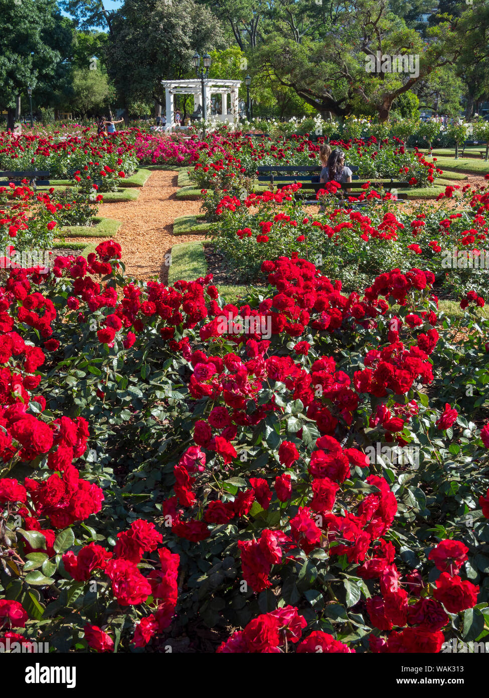 Bosques de Palermo park in Palermo, the rose garden (El Rosedal de Palermo). Buenos Aires, Argentina. Stock Photo