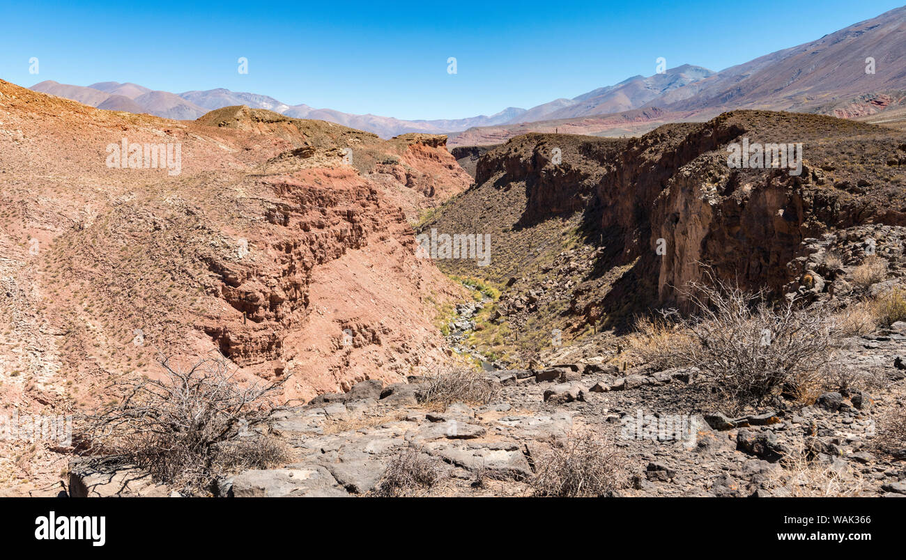 Canyon of Rio Calchaqui at Puente del Diablo. The Altiplano in Argentina, landscape along RN 40 near mountain pass Abra del Acay (4895m). South America, Argentina Stock Photo