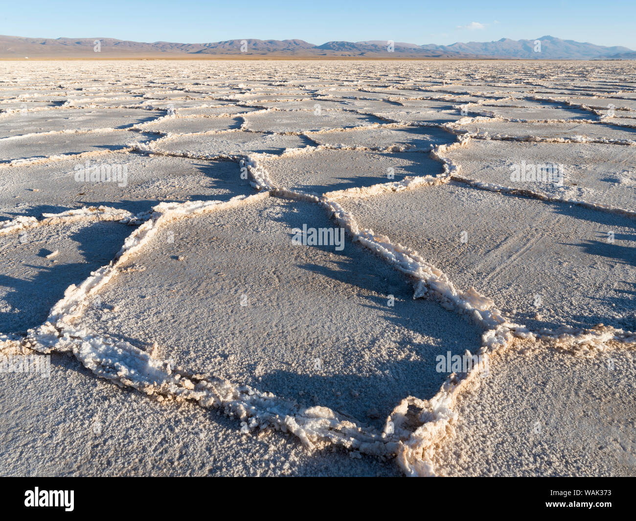 Surface of the Salar. Landscape on the salt flats Salar Salinas Grandes in the Altiplano, Argentina. Stock Photo