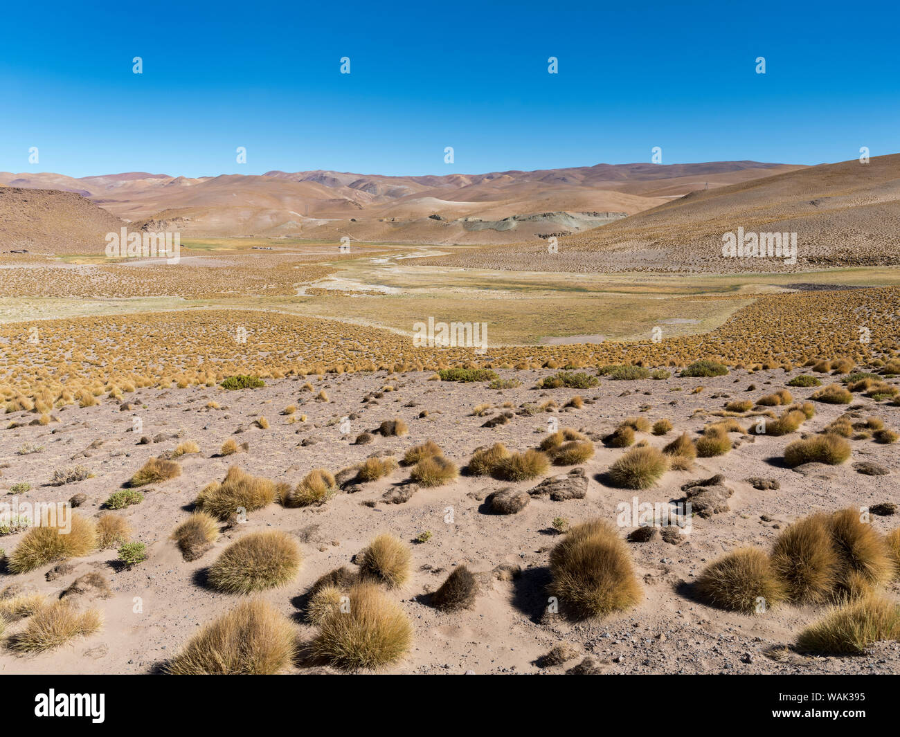 The Argentinian Altiplano along Routa 51 between Antonio de los Cobres and Olcapato. South America, Argentina Stock Photo