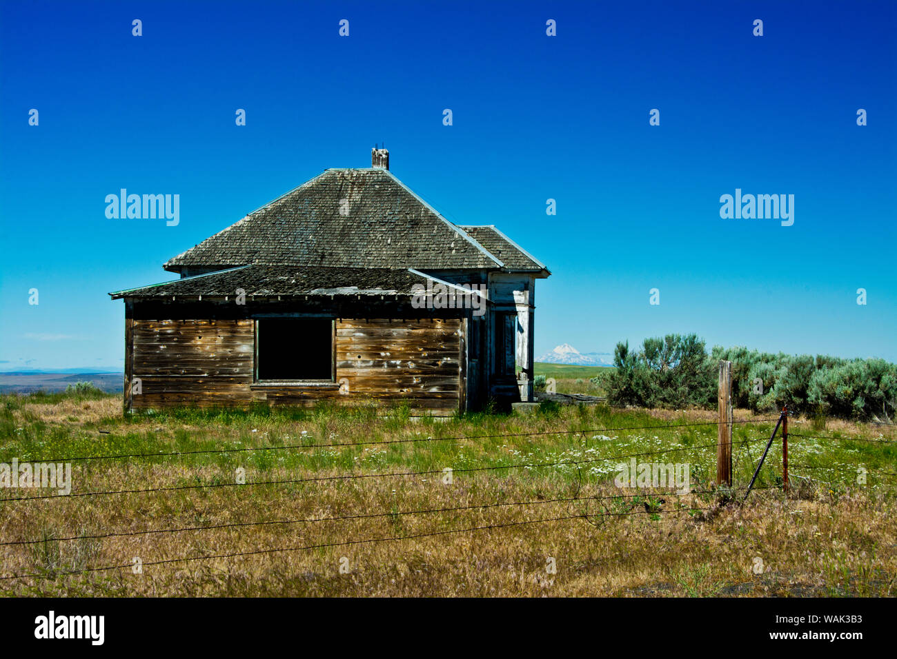 Old abandoned house, Gilliam County, Oregon, USA Stock Photo Alamy