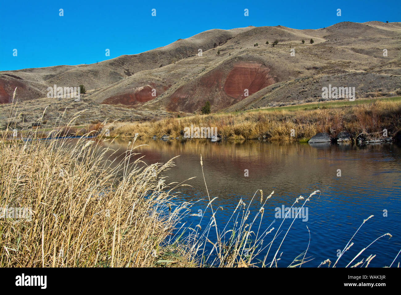 Landscape, James Camp Ranch, painted hills, John Day River, Oregon, USA. Stock Photo