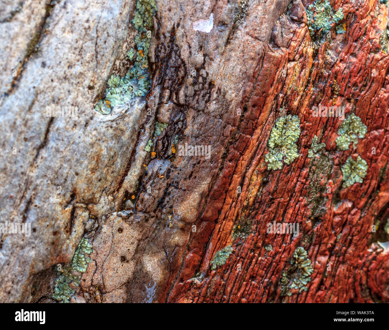 Large, naturally polished rock with lichen. Lower Deschutes River, Central Oregon, USA Stock Photo