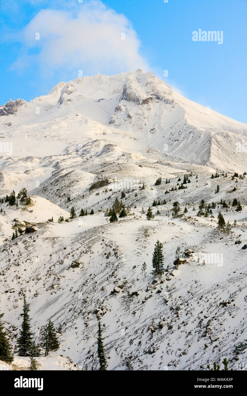 Sunrise view of Mt. Hood near Timberline Lodge, Lolo Pass, Mt. Hood Wilderness Area, Oregon, USA Stock Photo