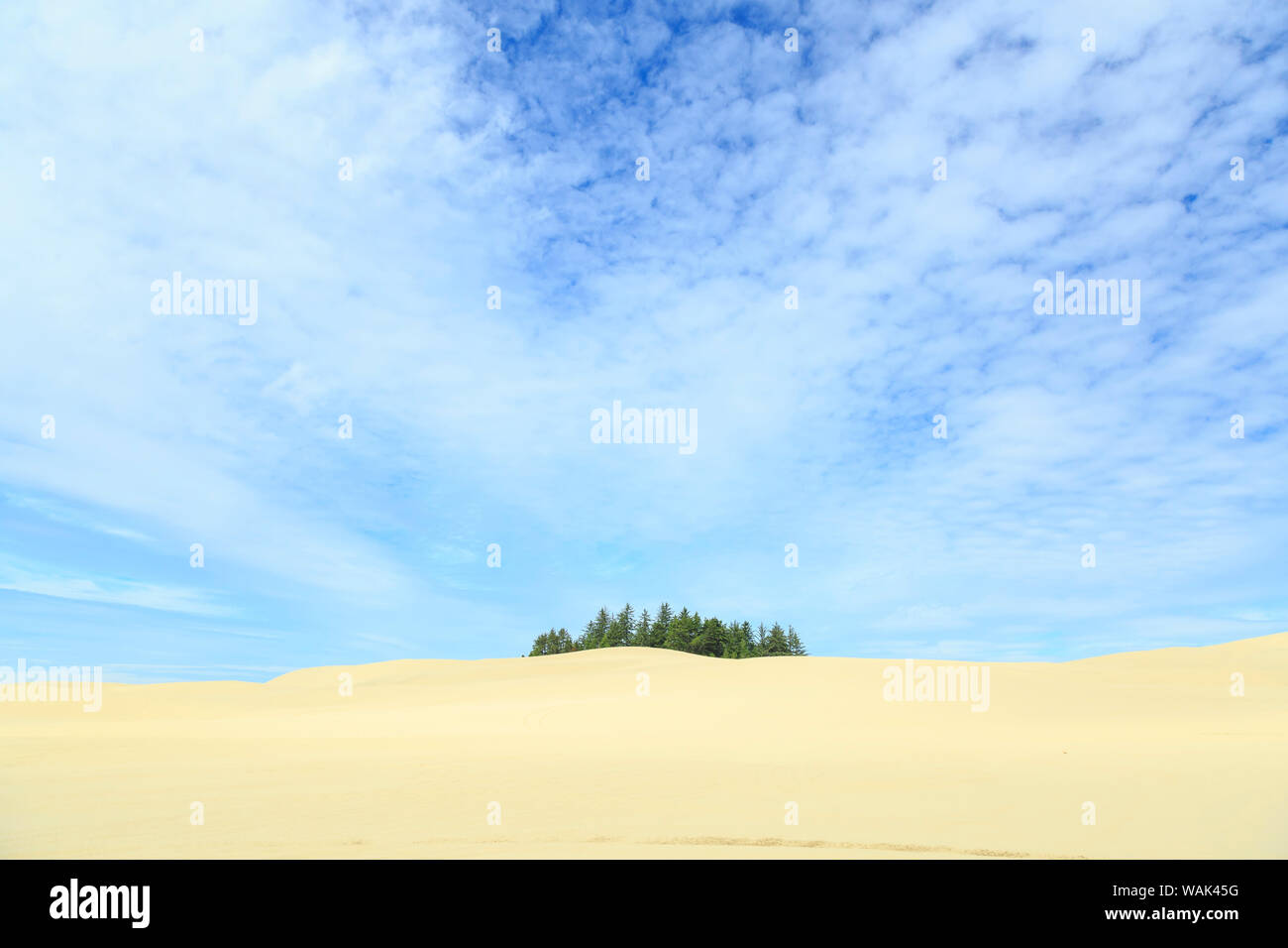 Oregon Dunes National Recreation Area, Oregon Coast near Reedsport
