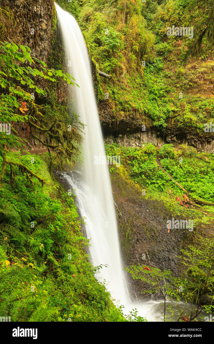 Trail of Ten Falls, Silver Falls State Park, near Silverton, Oregon
