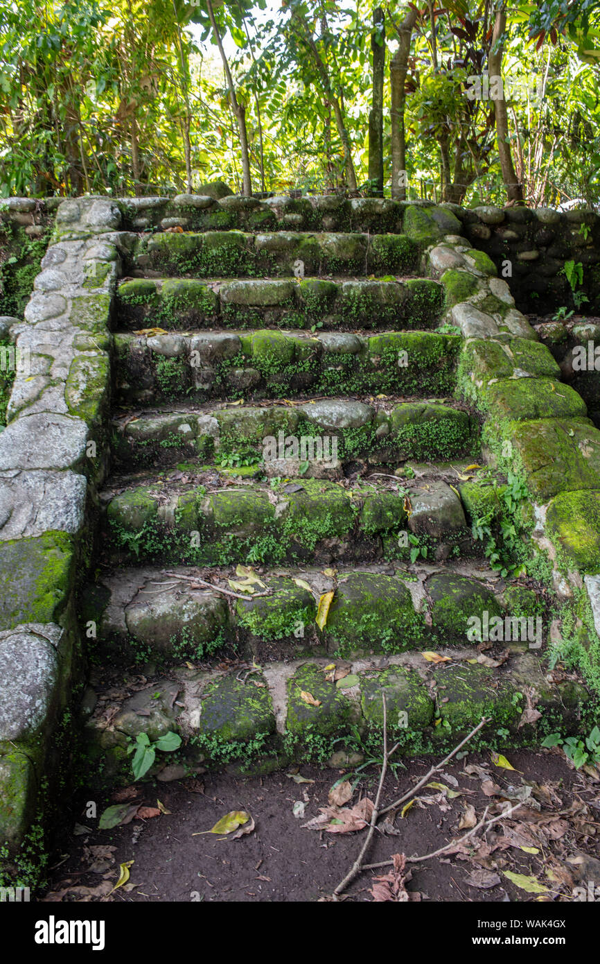Izapa Ruins, Tapachula, Chiapas, Mexico Stock Photo