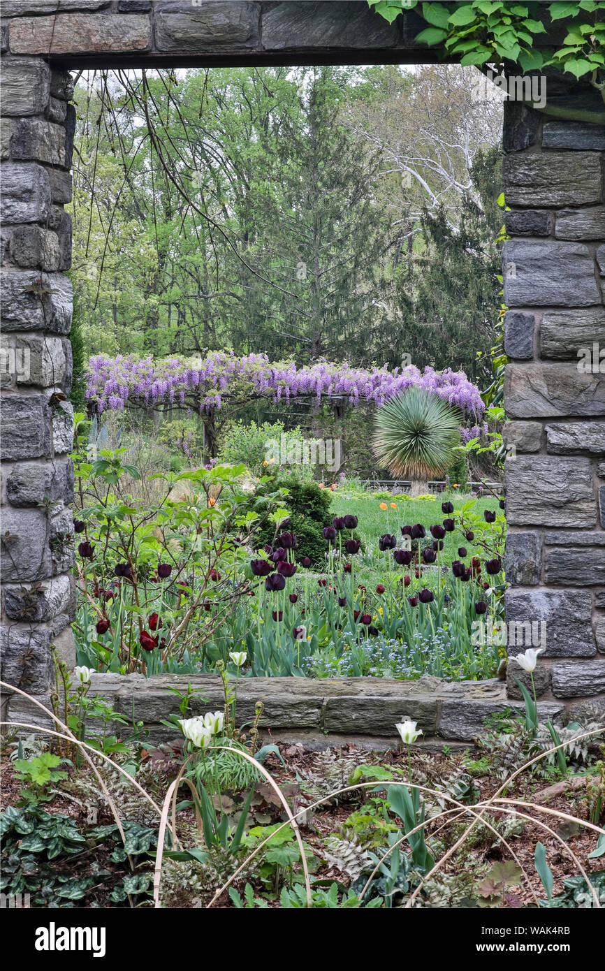 Looking through the window ruins. Chanticleer Garden, Wayne, Pennsylvania. Stock Photo
