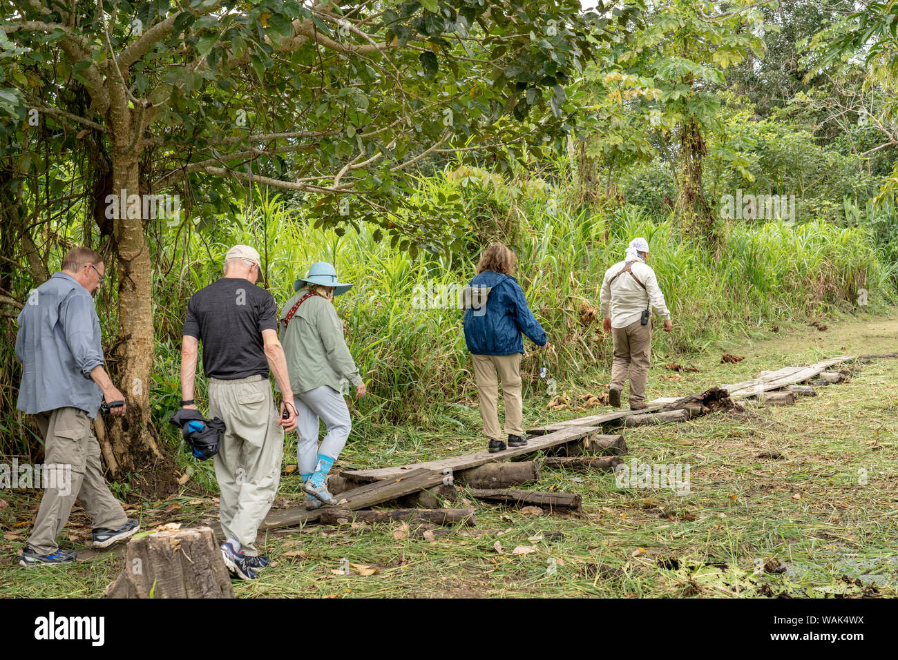 Puerto Miguel, Peru. Tourists walking along a makeshift boardwalk in a boggy area. (Editorial Use Only) Stock Photo