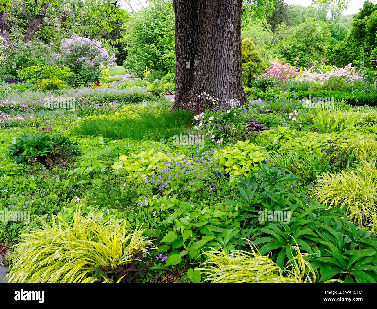 Spring garden textures hi-res stock photography and images - Alamy