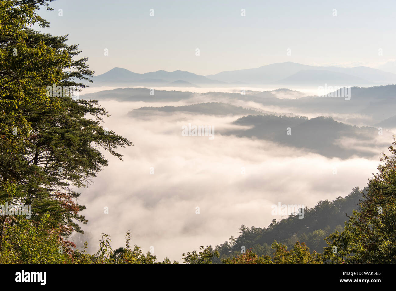 USA, Tennessee, Great Smoky Mountains National Park. Dense clouds in valleys seen from Foothills Parkway. Tallest peak is Thunderhead Mountain Stock Photo