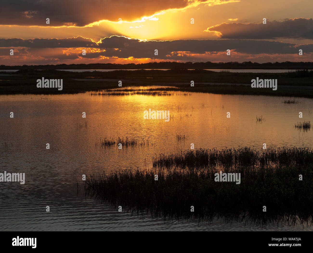 Welder Flats at sunrise, San Antonio Bay, Texas Stock Photo