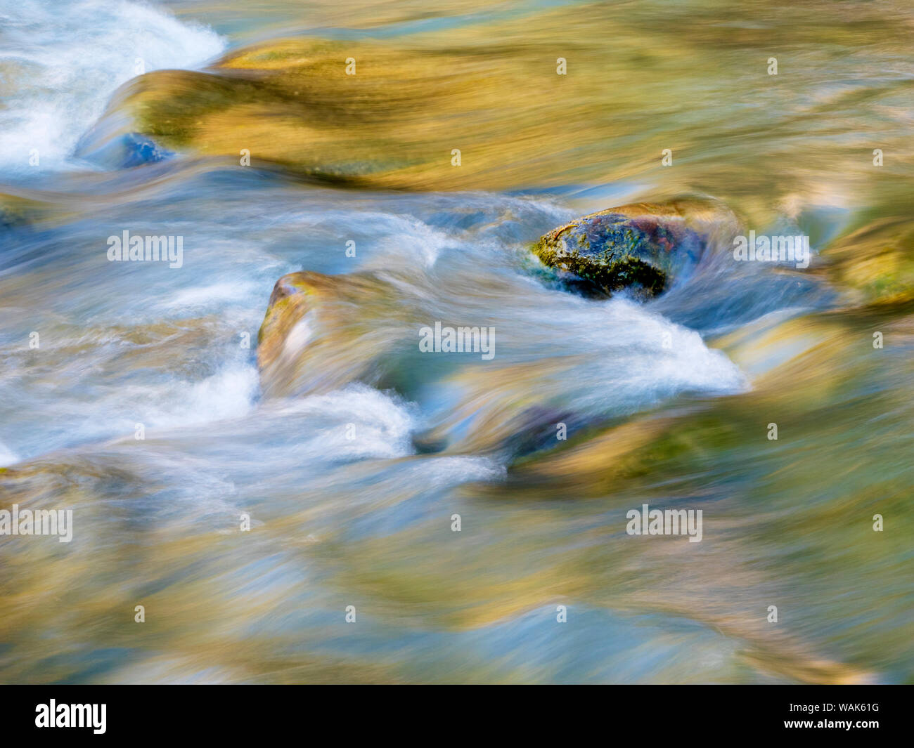 USA, Utah. Zion National Park, Virgin River close-up Stock Photo