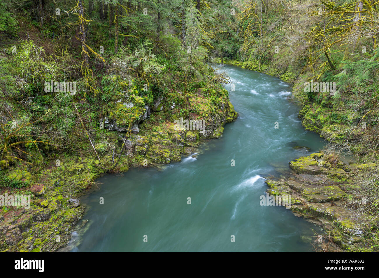 USA, Washington State, Moulton Falls Regional Park. Lewis River landscape.  Credit as: Don Paulson / Jaynes Gallery / DanitaDelimont.com Stock Photo -  Alamy, image size:1300x956
