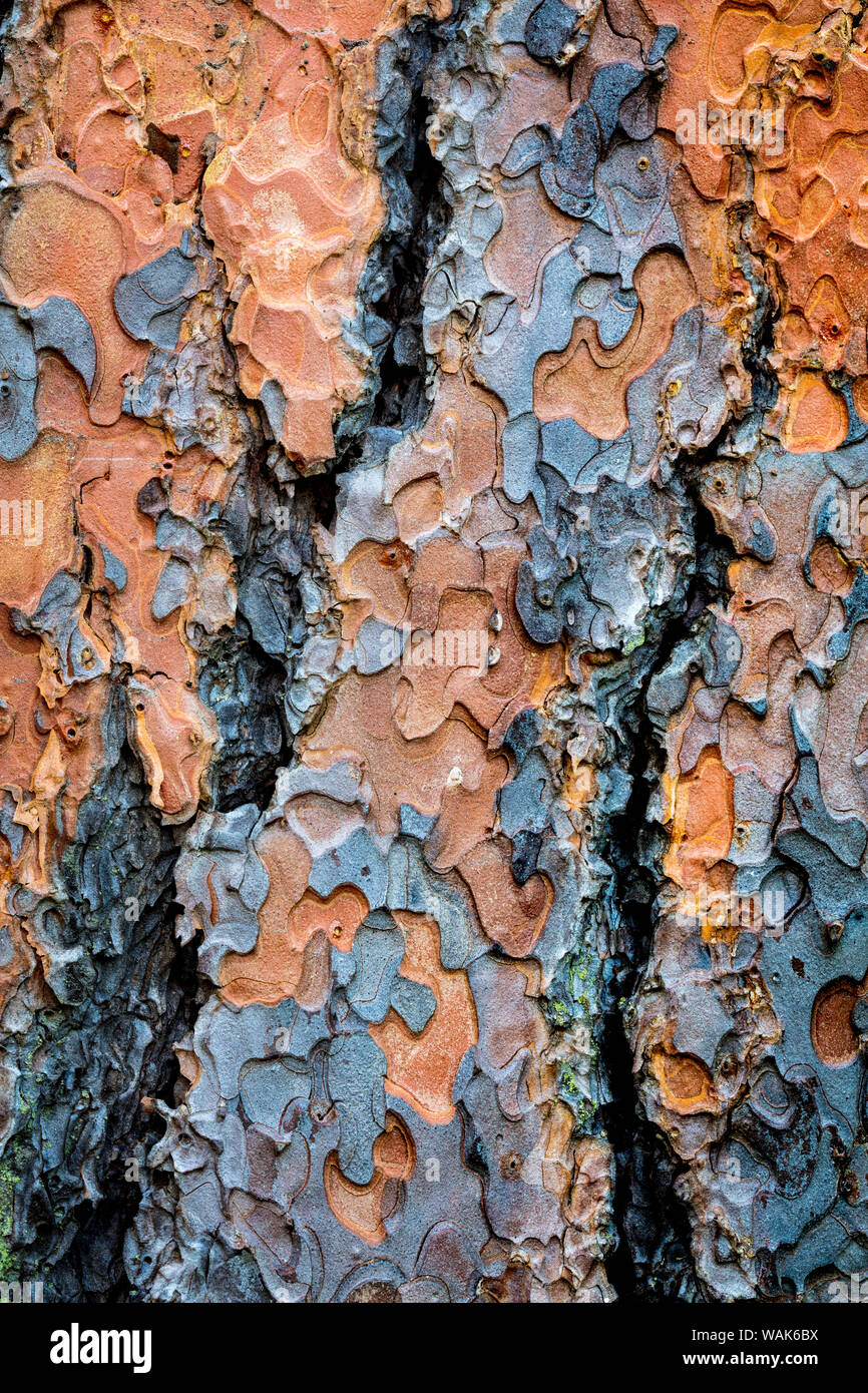 Ponderosa State Park High Resolution Stock Photography and Images - Alamy