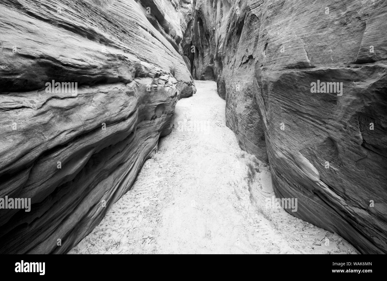 Slot canyon in Buckskin Gulch, Paria Canyon-Vermilion Cliffs Wilderness, Arizona, USA. Stock Photo