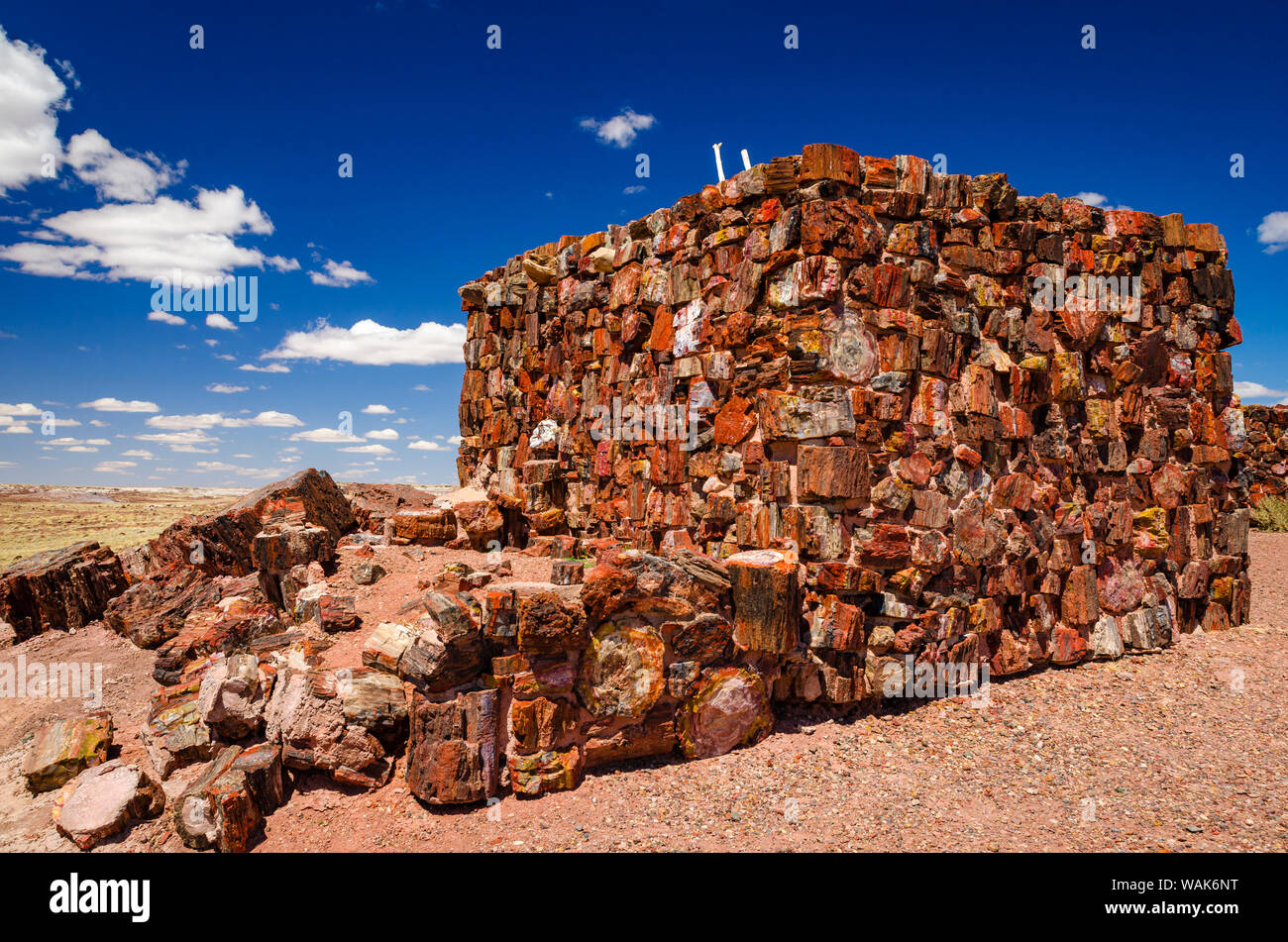 Agate House, Petrified Forest National Park, Arizona, USA Stock Photo