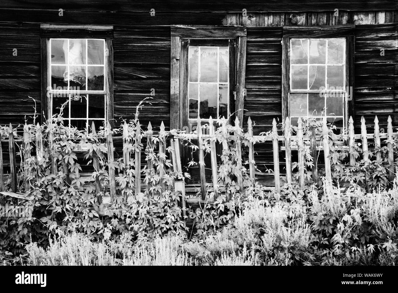 USA, California, Bodie State Historic Park. Black and white of weathered building in abandoned town. Credit as: Dennis Flaherty / Jaynes Gallery / DanitaDelimont.com Stock Photo