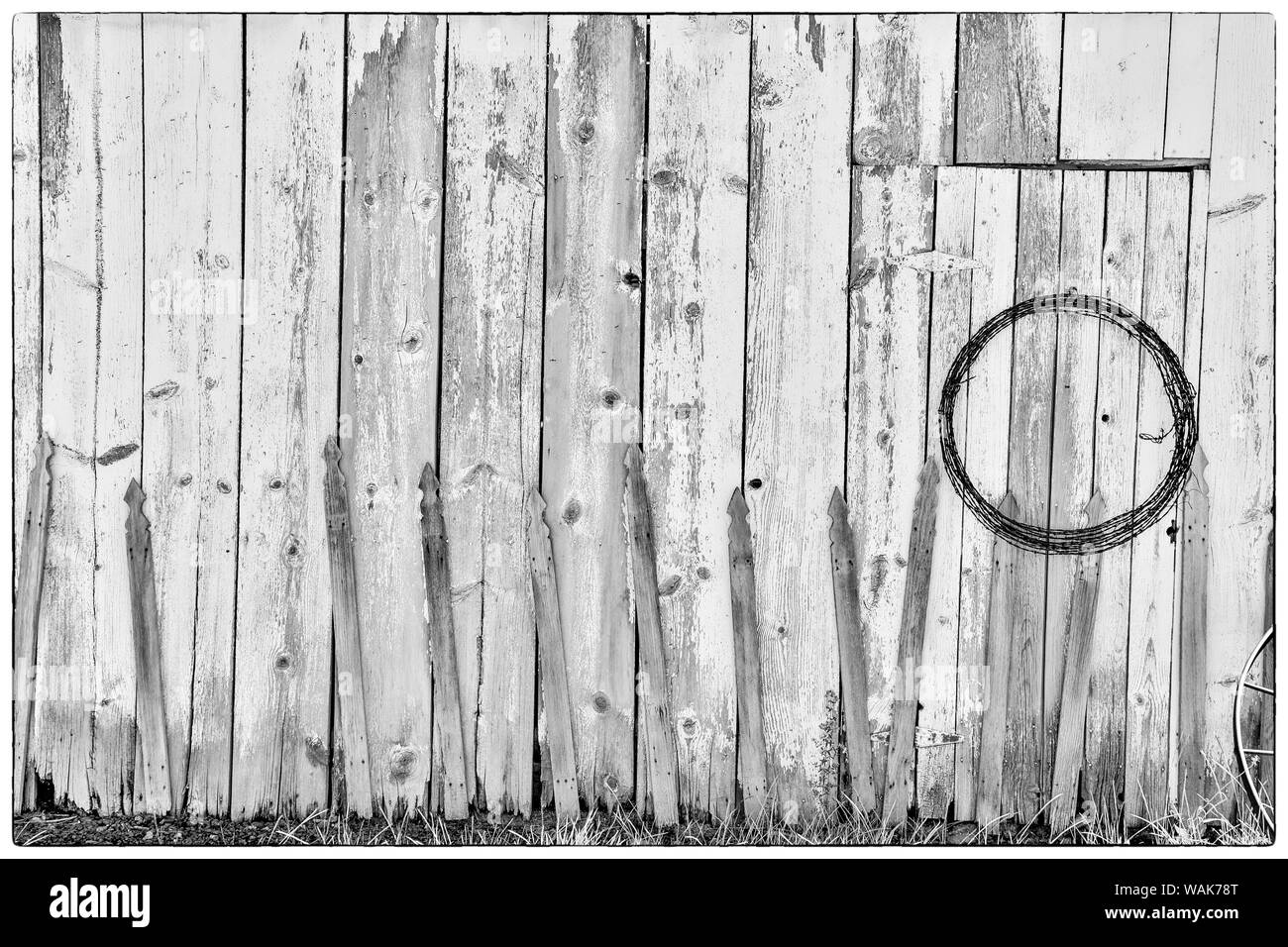 Black and White image of old wooden shed with hanging barbwire, Benge, Washington State Stock Photo