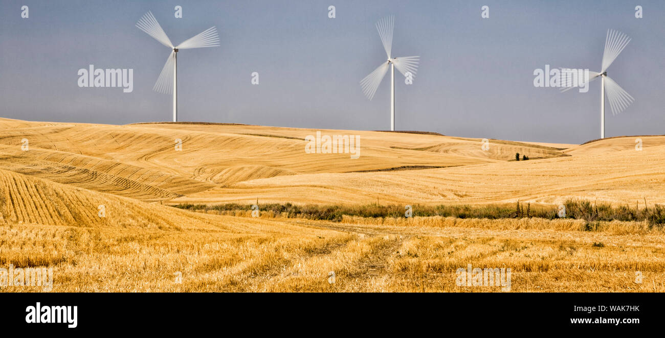 USA, Washington State, Palouse. Wind farm in the Palouse Stock Photo