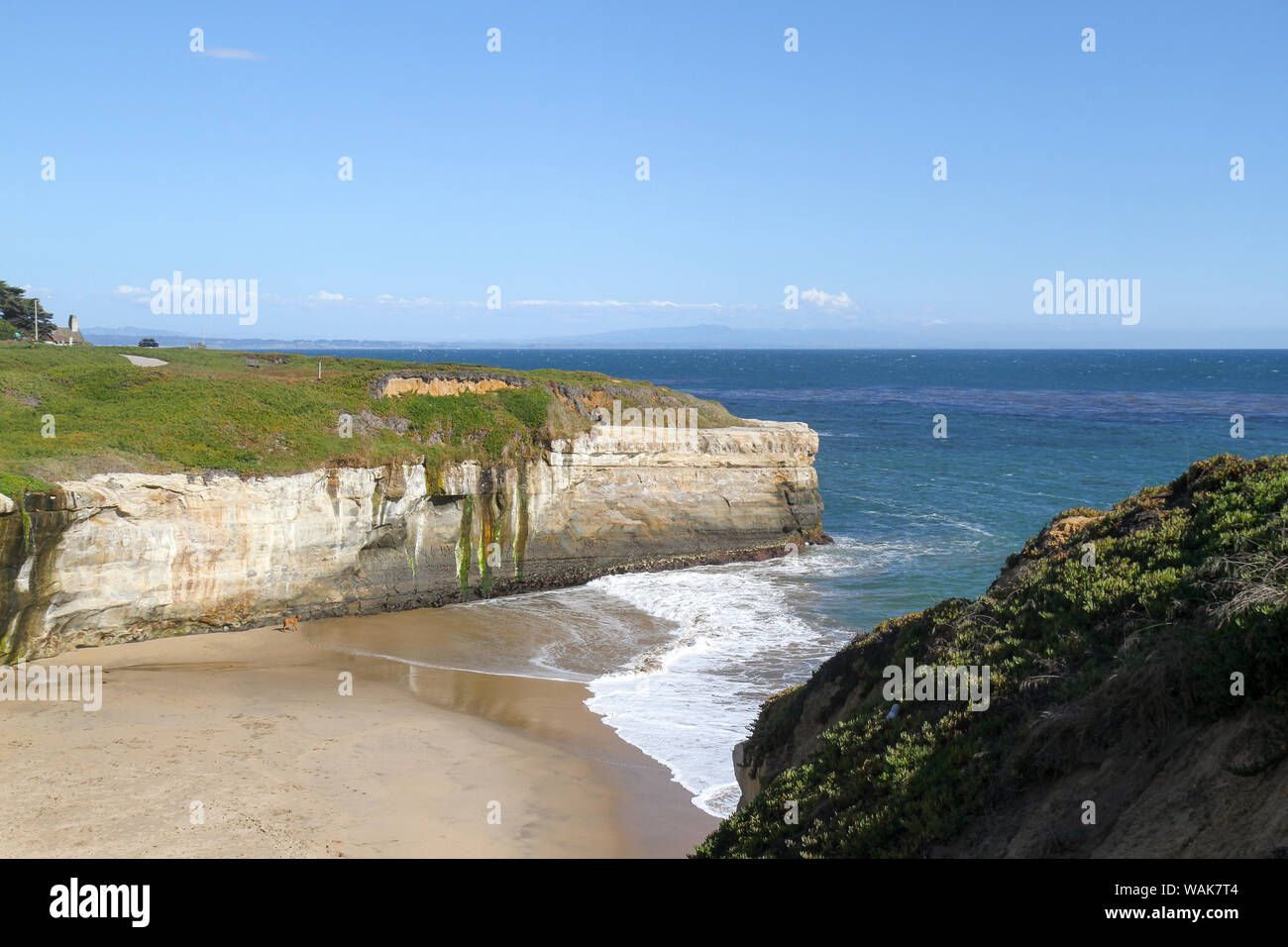 View of a beach and cliffs near West Cliff Drive, Santa Cruz