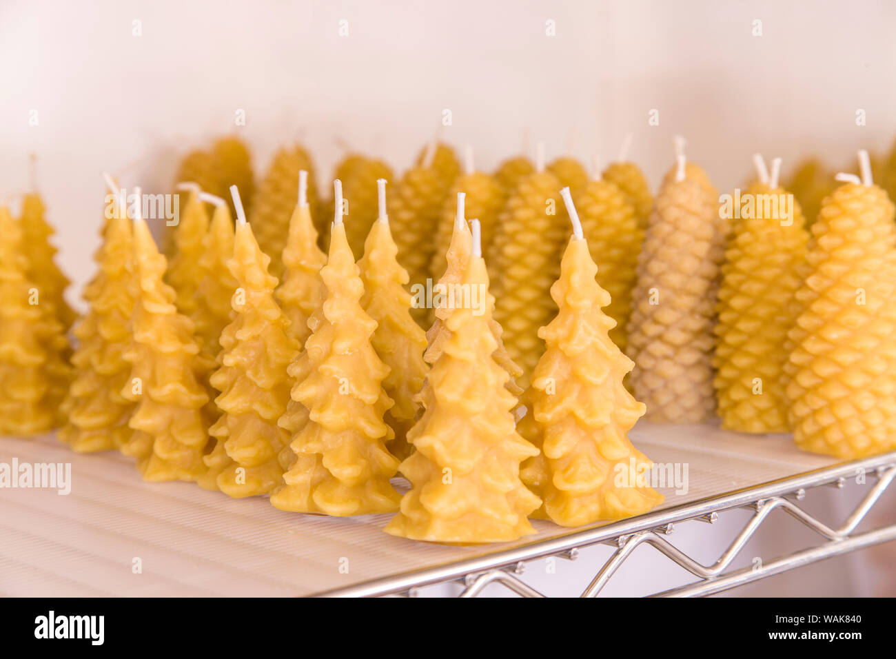 Maple Valley, Washington State, USA. Handmade treeshaped and pineconeshaped beeswax candles